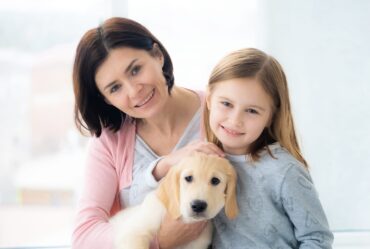 Strategies for Preventing and Removing Pet Hair from Furniture