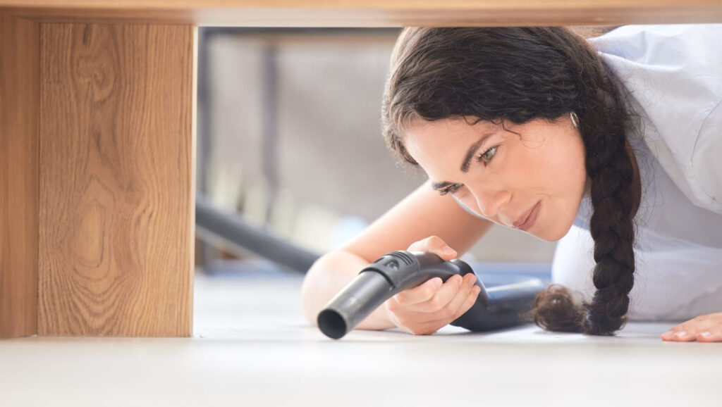 maid cleaning a living room