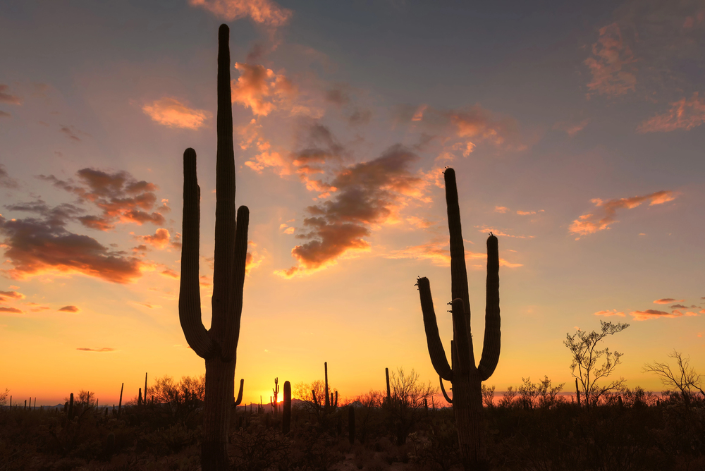 Guide to House Cleaning in Tucson's Desert Climate