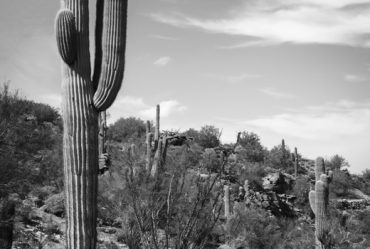 Neighborhoods for House Cleaning Services in Tucson