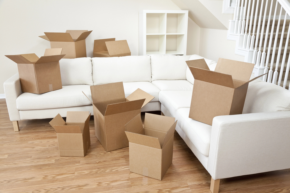Move-In/Move-Out Cleaning Services in Denver
