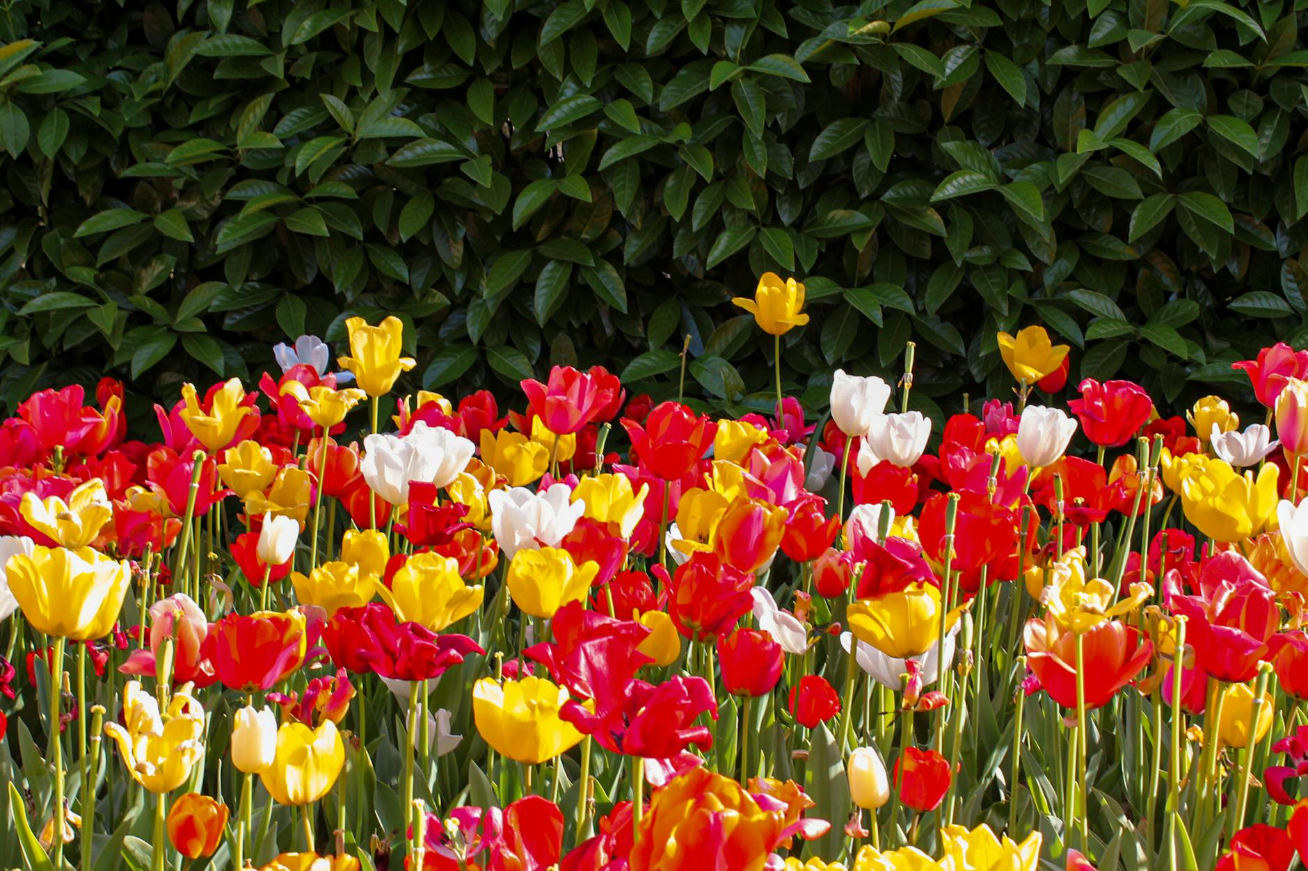 33 Easy Ways To Keep Your Home Cleaner in Provo in 2026