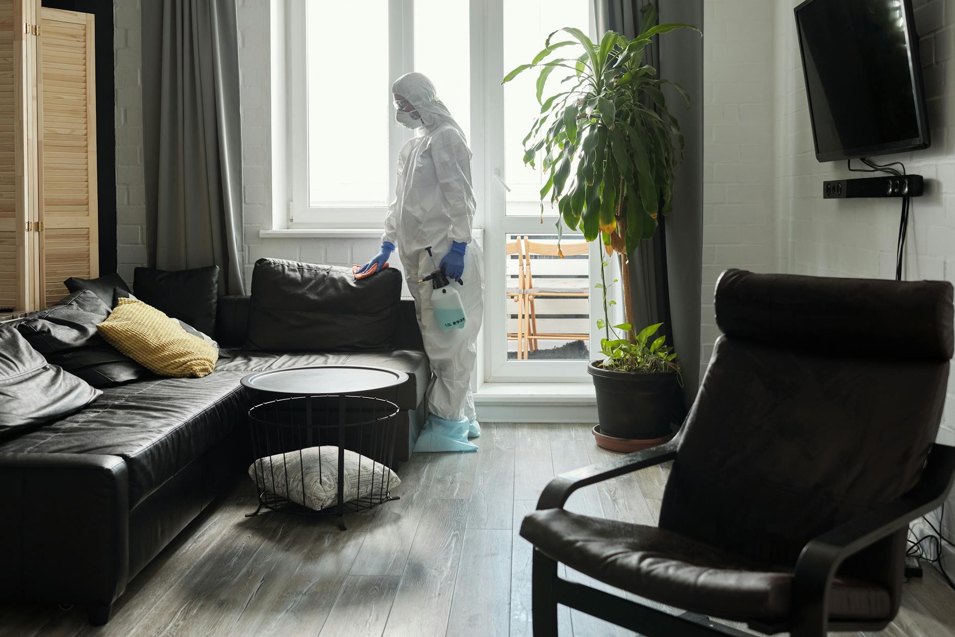 Professional house cleaning service in Salt