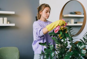 Professional house cleaning service in Tucson