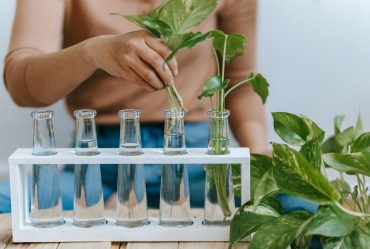 Eco-Friendly Multi-Purpose Cleaner: The Best All-Green Janitorial Products for a Healthier Home