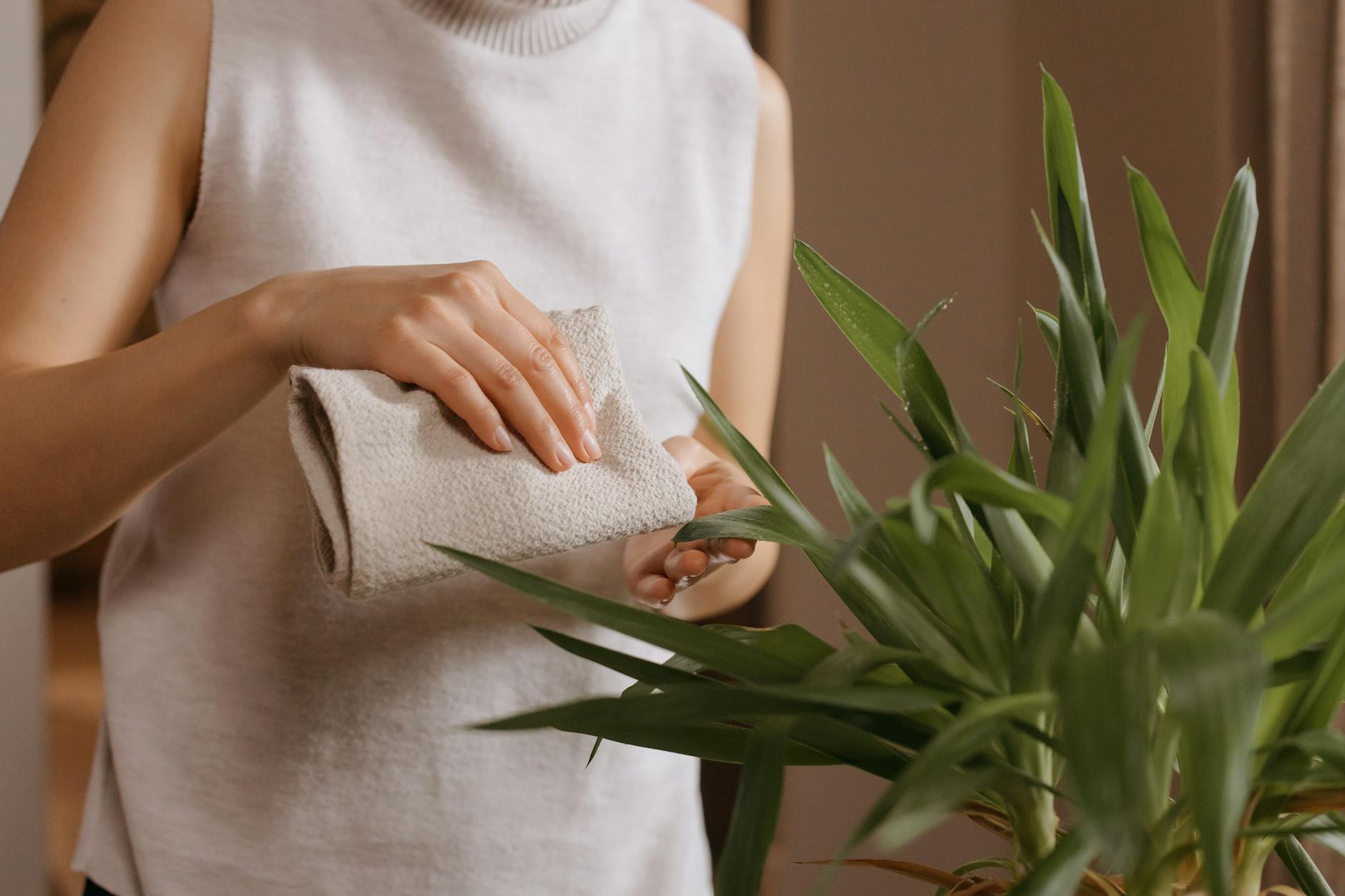 Microfiber vs. Cotton Cloths for Cleaning in Denver: Which One Actually Works Better?