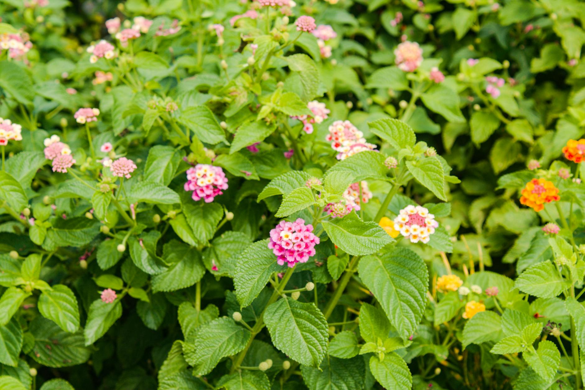 Old-School Cleaning Methods Making a Comeback in Salt Lake City in 2026