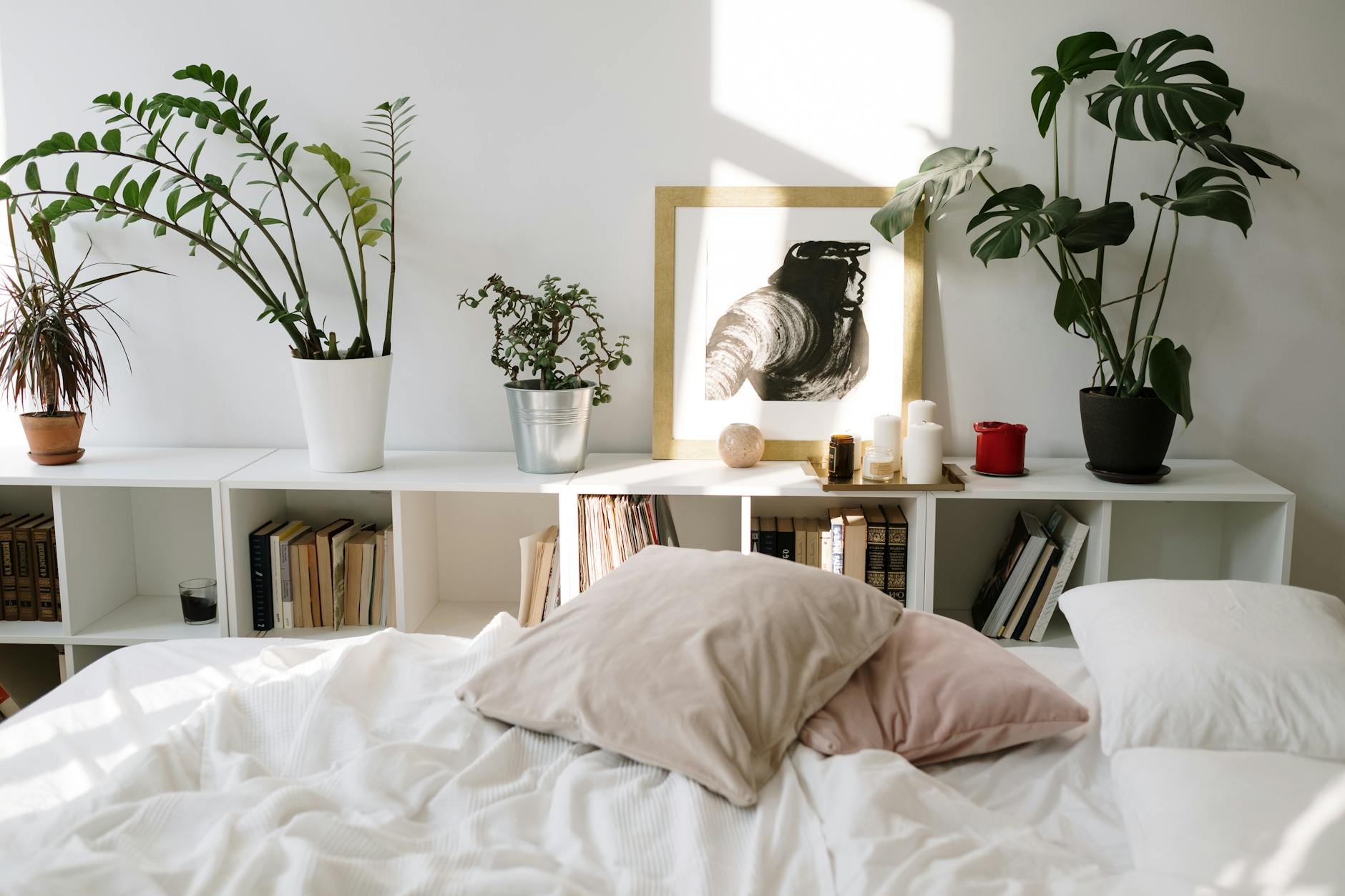 The Truth About Steam Cleaning Carpets in Chandler Homes