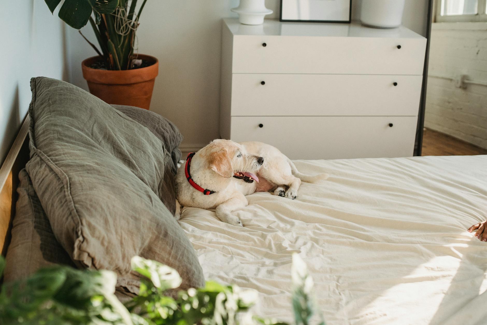 Benefits of Eco-Friendly Cleaning Products