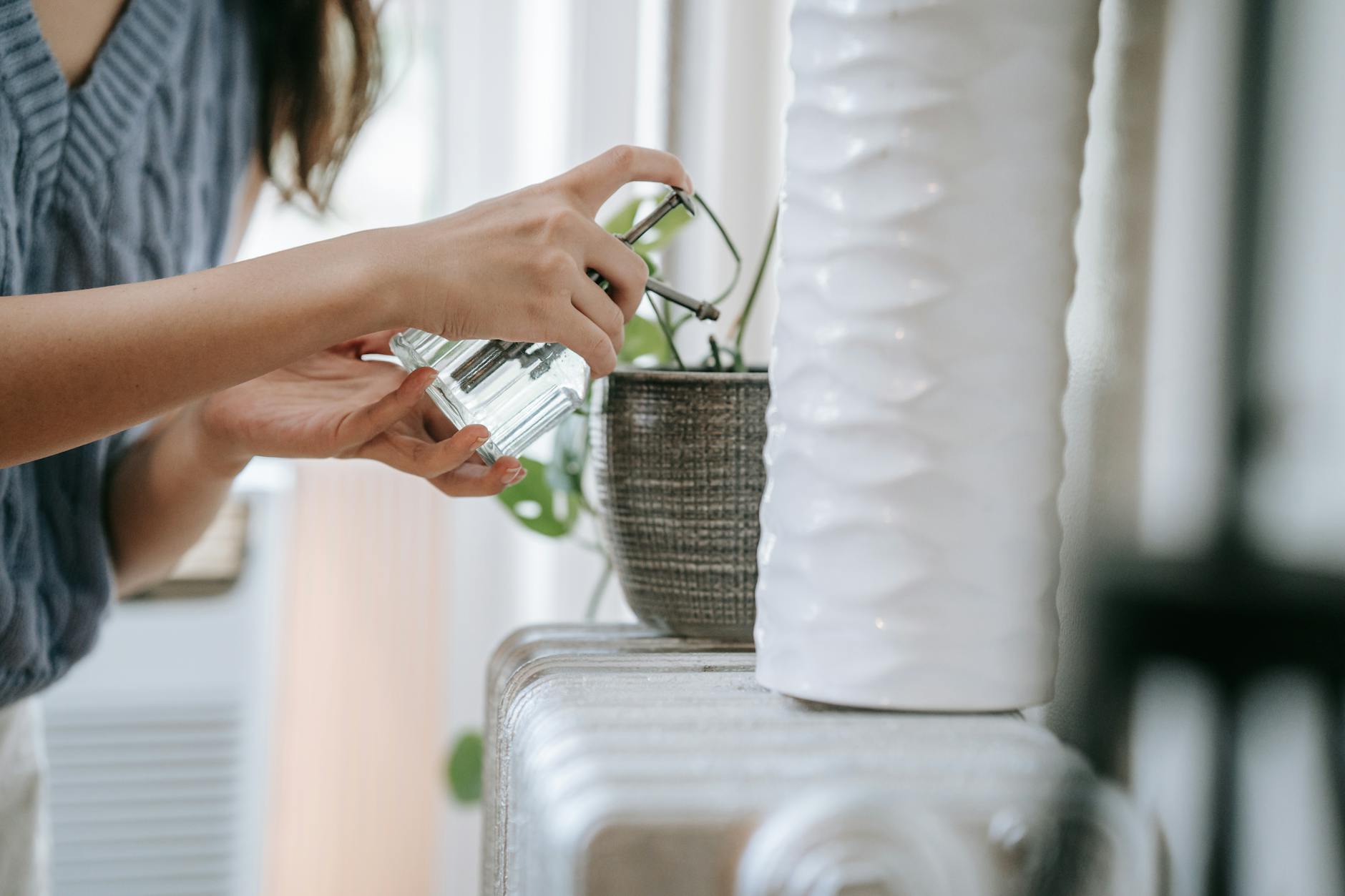 Best Eco-Friendly Cleaning Products for Denver Homes, Tested and Reviewed