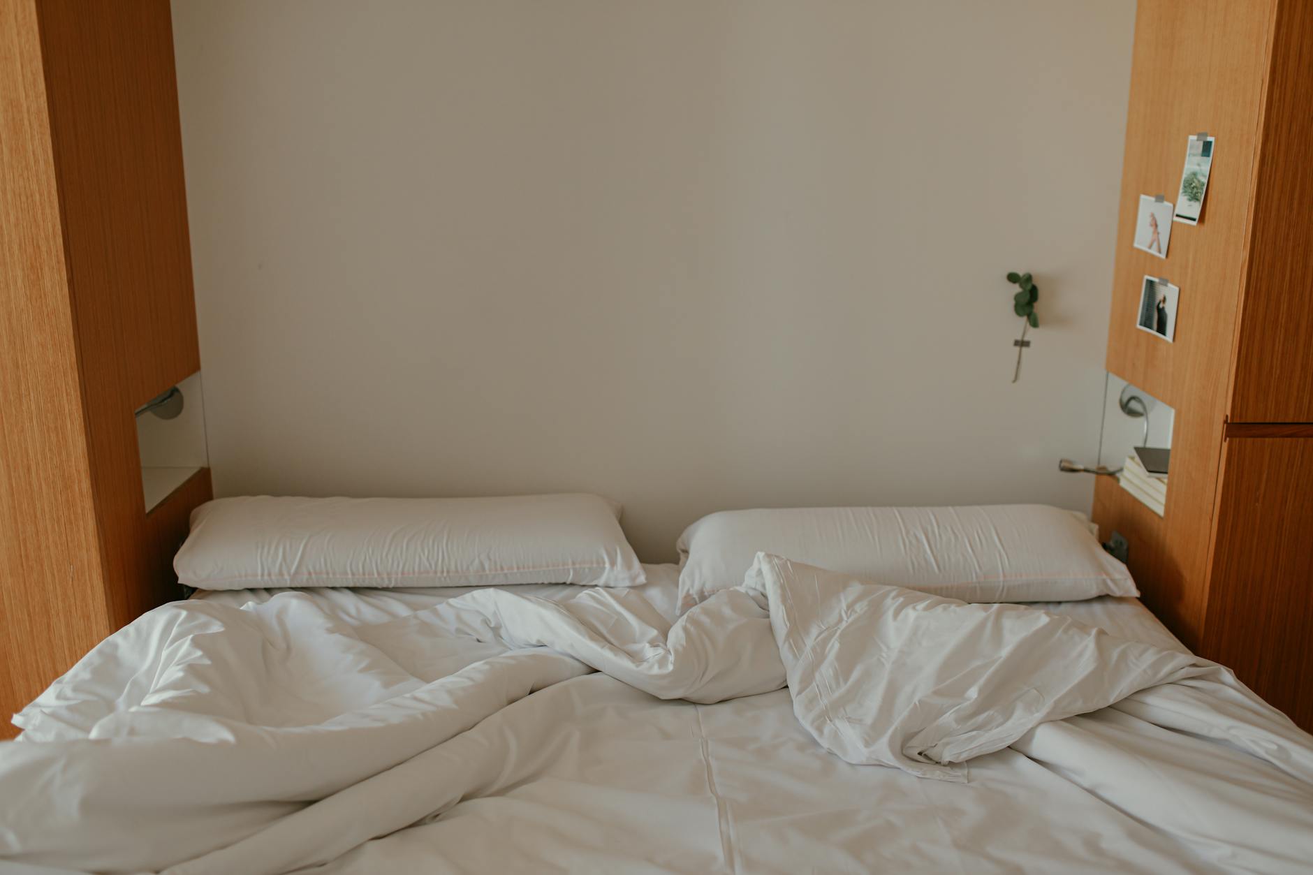 Common Misconceptions About Green Cleaning Services