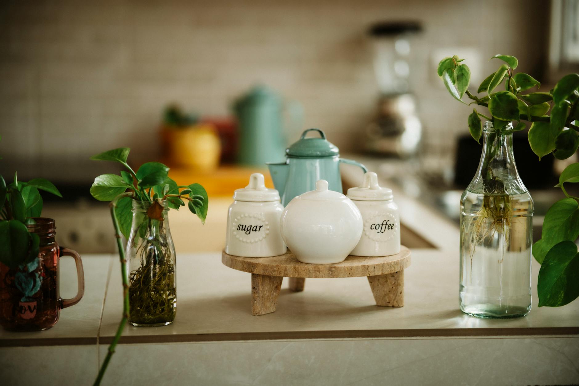 Green Your Cleaning Routine with These Natural Cleaning Products in Arvada