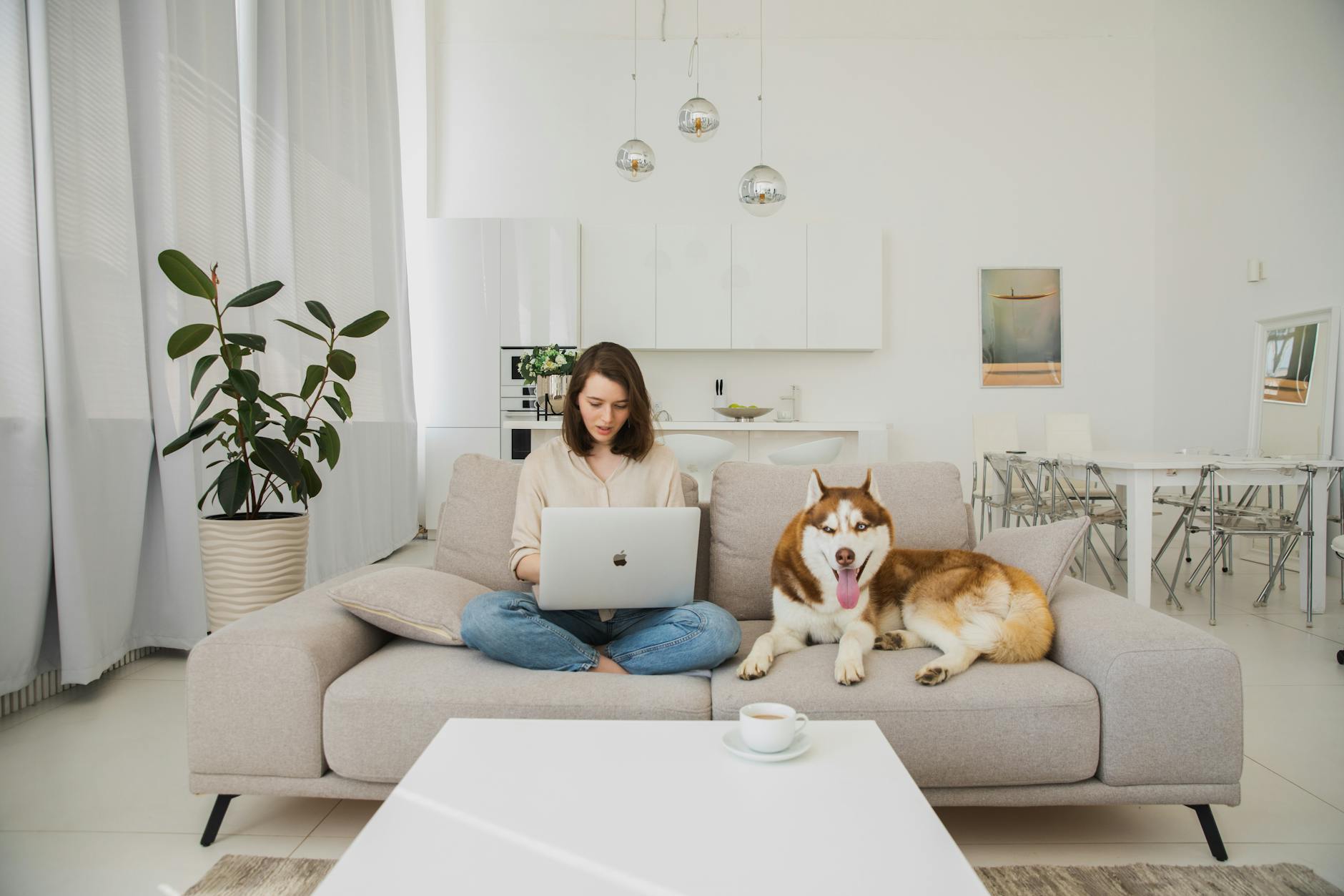 How to Clean a Home with Kids and Pets in Tucson