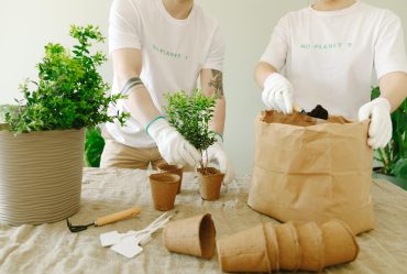 Natural and Nontoxic Cleaning Products Tested: What Queen Creek Homeowners Need to Know