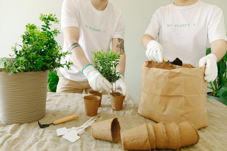 Natural and Nontoxic Cleaning Products Tested: What Queen Creek Homeowners Need to Know
