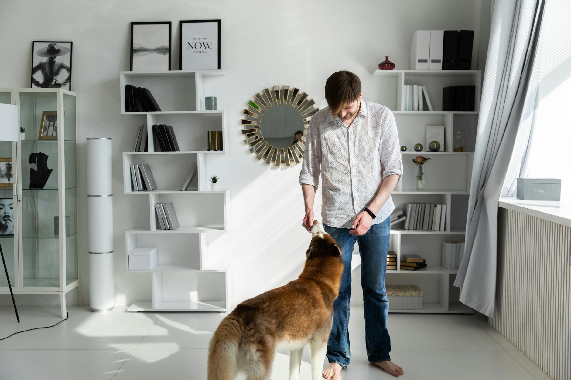 Pet Hair Removal Tips for Glendale Homes: Keep Your Space Clean Year-Round