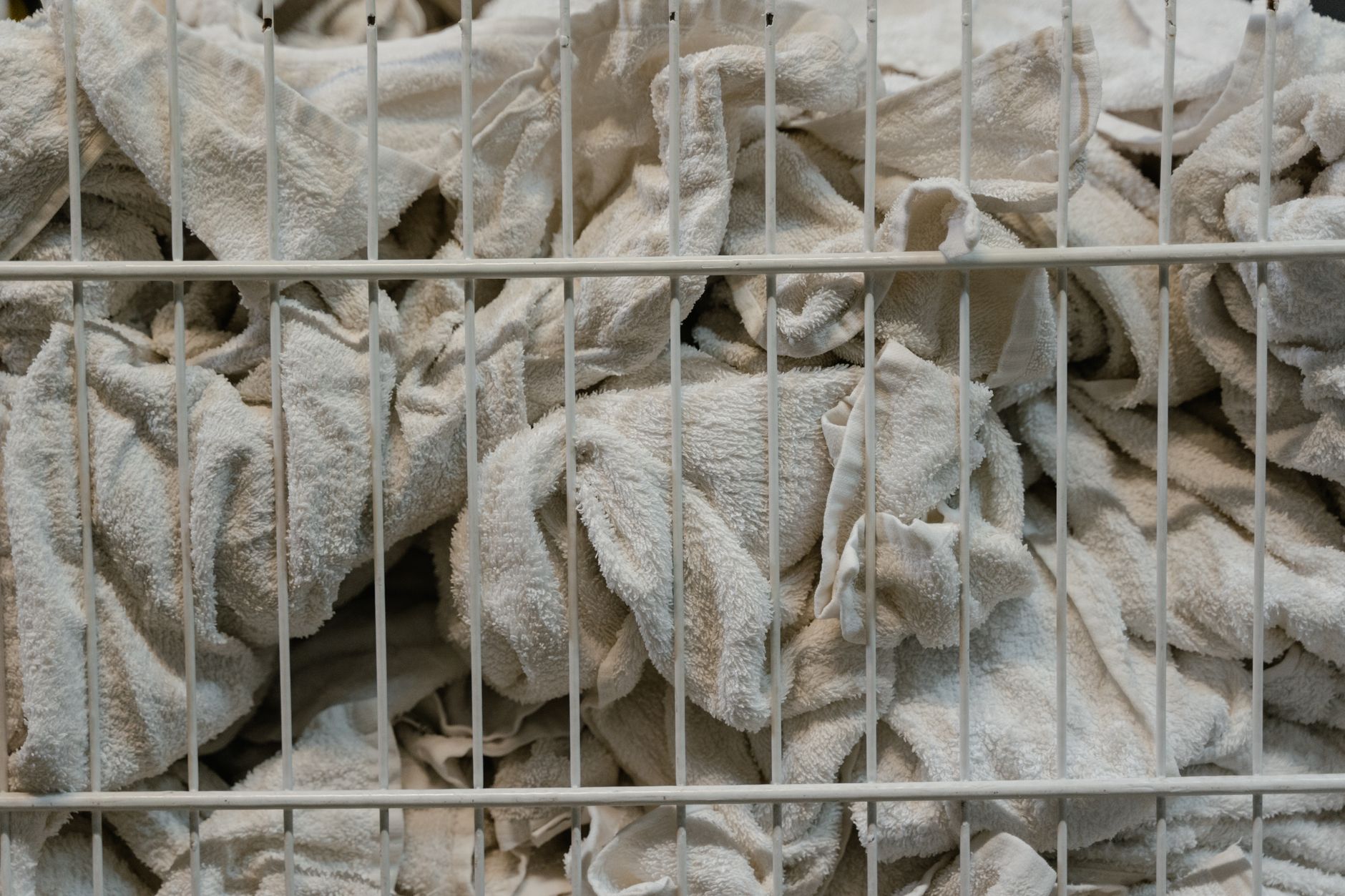 Preparing for Guests? The Ultimate Pre-Event Cleaning Plan
