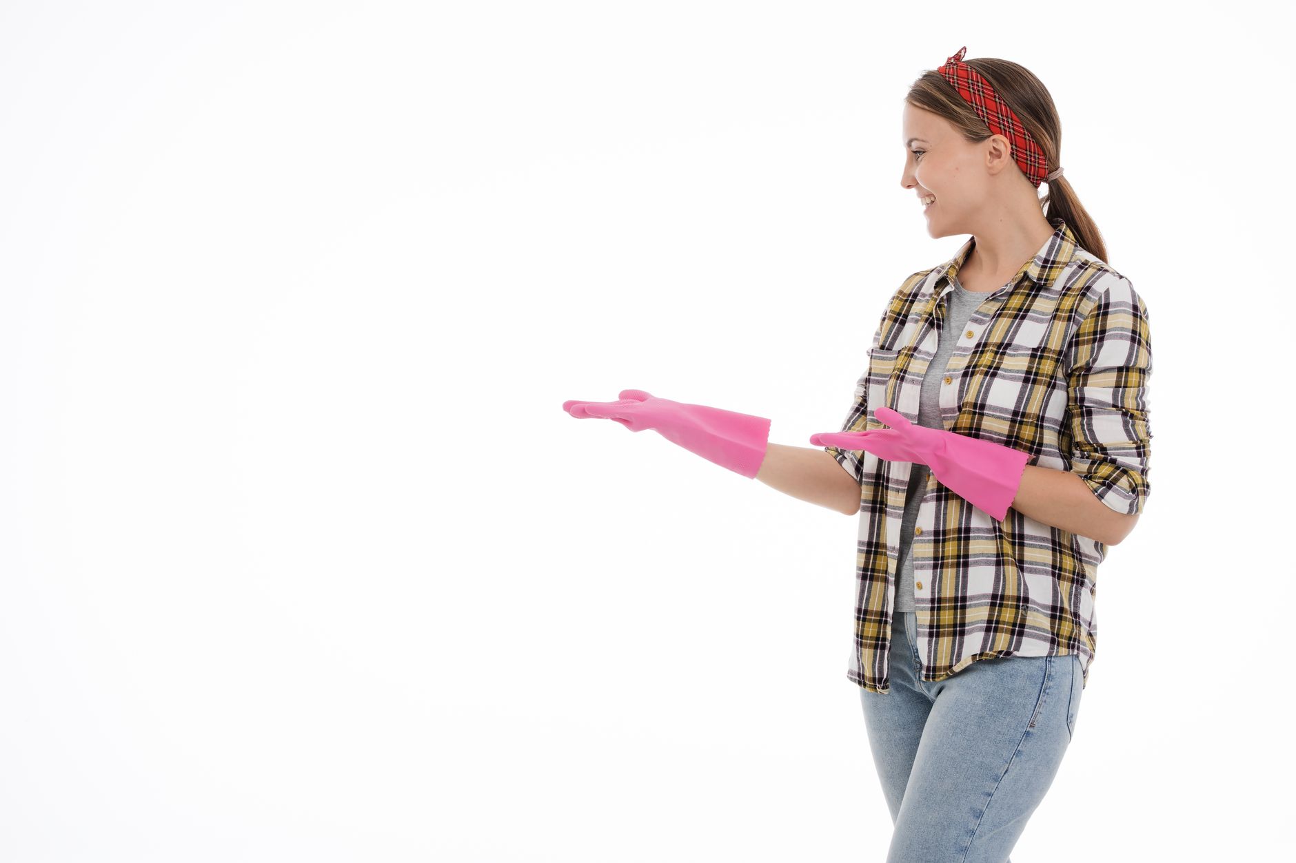 What's Janitorial Services?