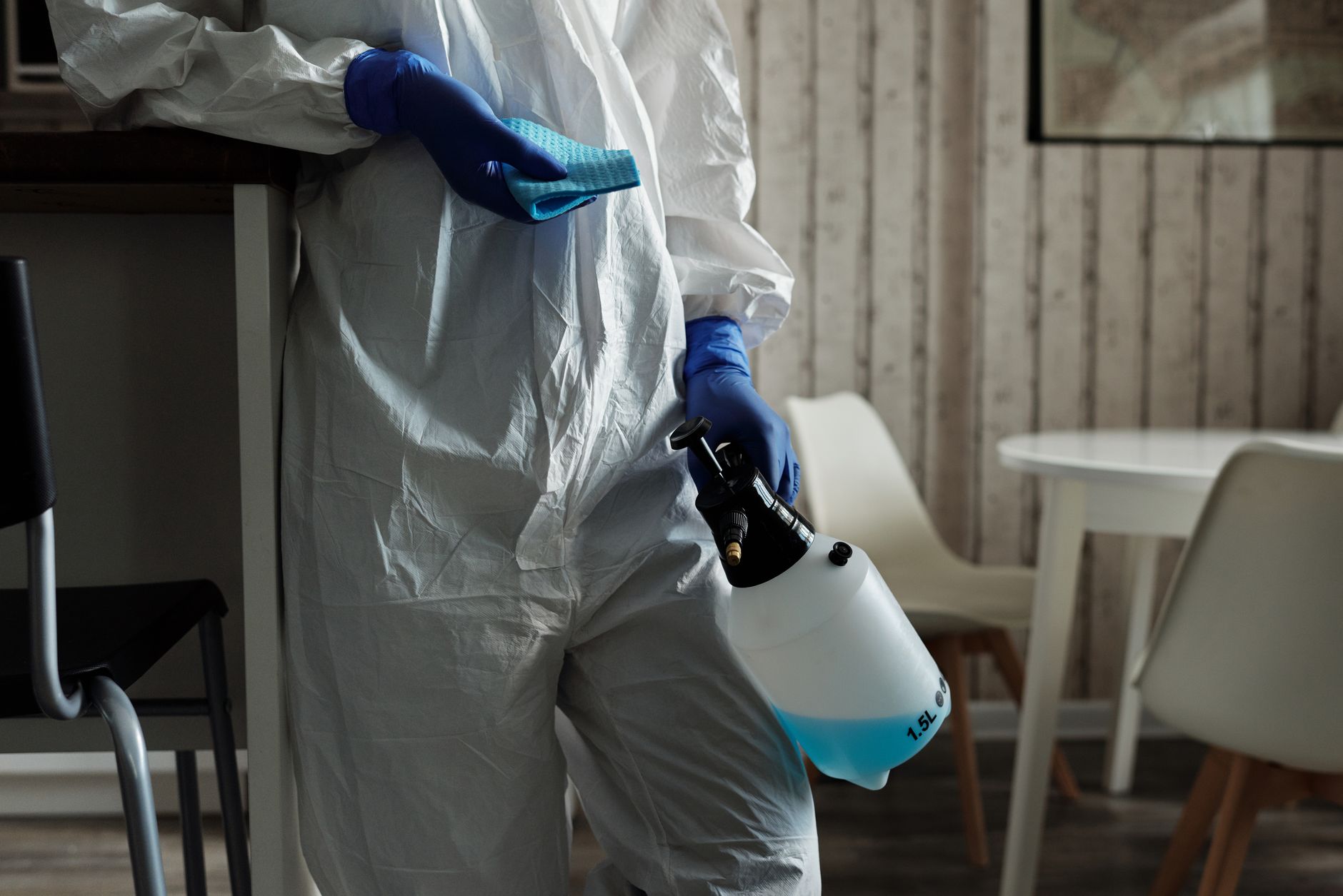 Best Cleaning Products Everyone Should Keep in Their Home in Arvada