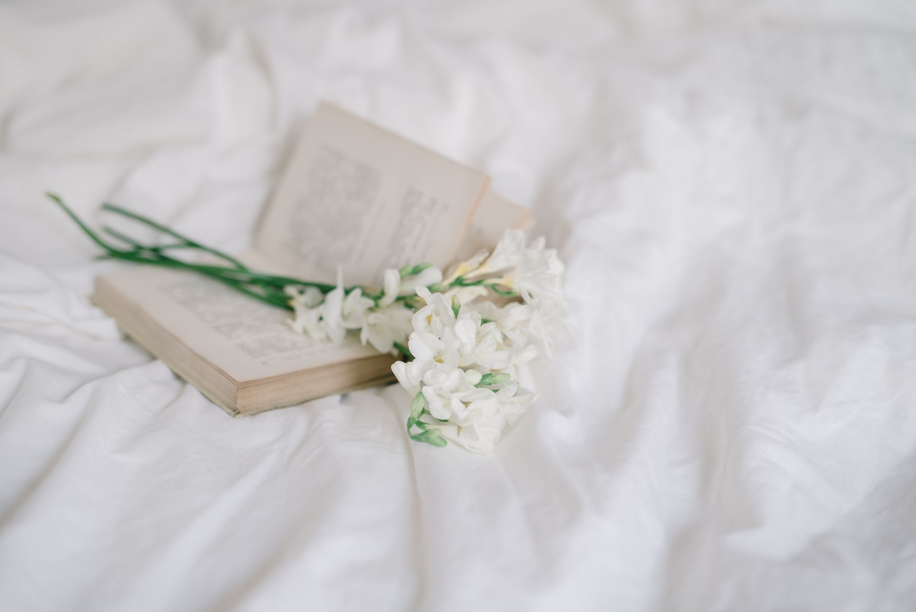 How to Maintain a Clean Home Between Professional Cleanings